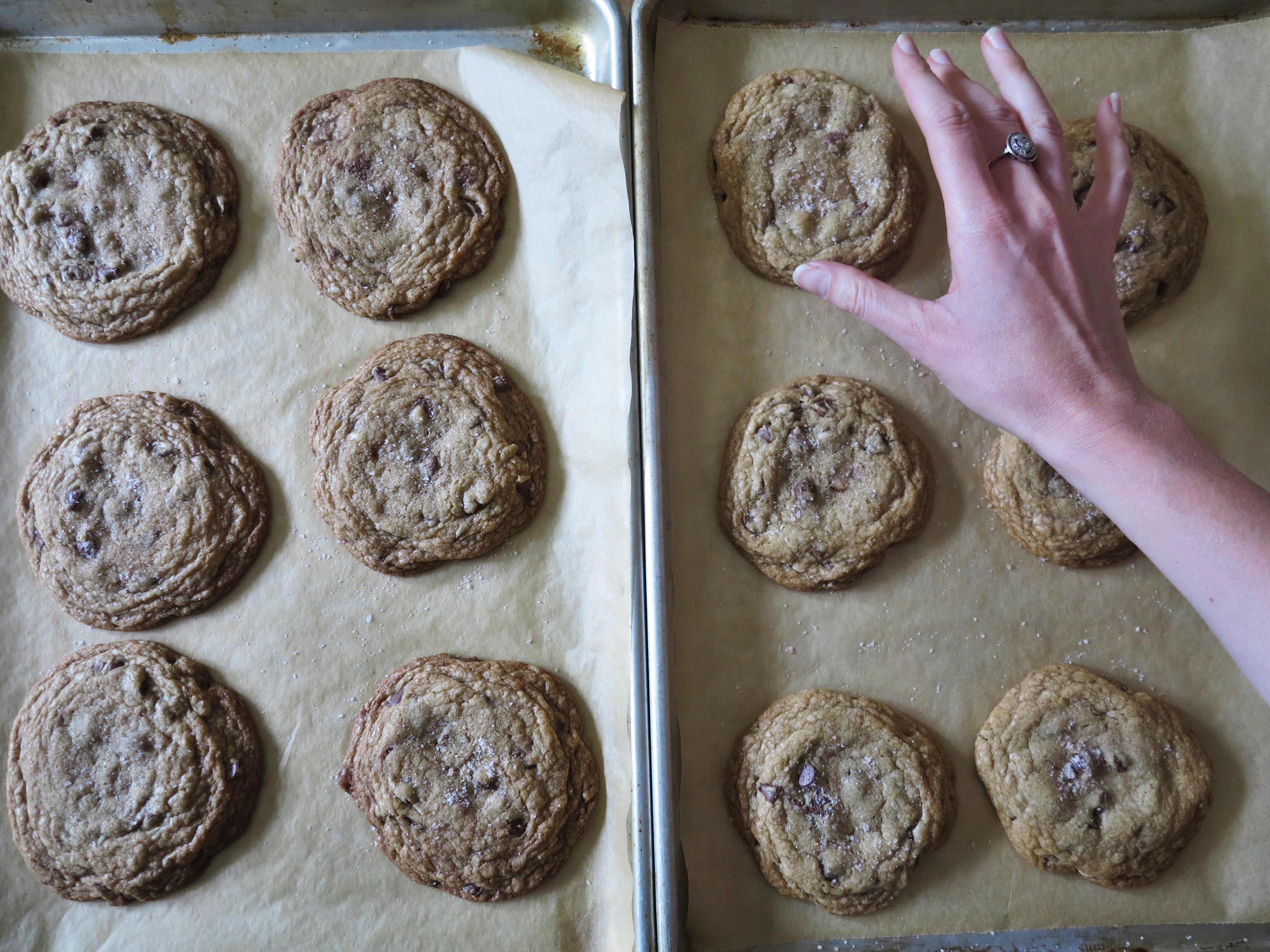 Brown Butter Toffee Chocolate Chip Cookies | apinchofthis.nyc